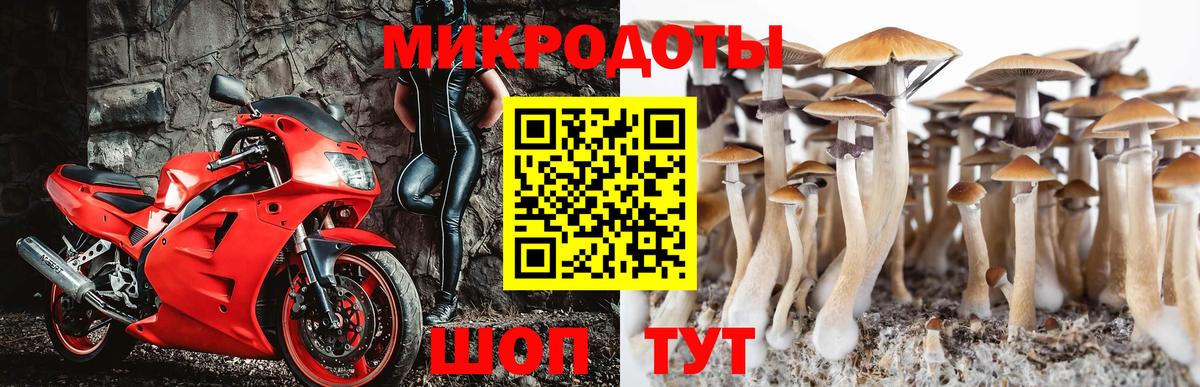 Галлюциногенные грибы ЛСД Реутов
